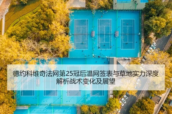 de-yue-ke-wei-qi-fa-wang-di-guan-hou-wen-wang-qian-biao-yu-cao-di-shi-li-shen-du-jie-xi-zhan-shu-bian-hua-ji-zhan-wang-2-426.jpg