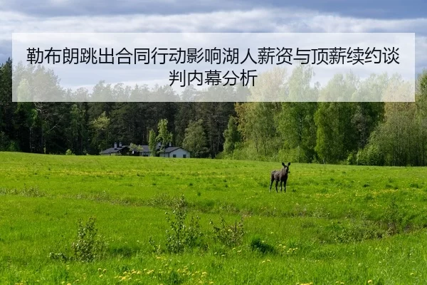 lei-bu-lang-tiao-chu-he-tong-xing-dong-ying-xiang-hu-ren-xin-zi-yu-ding-xin-xu-yue-tan-pan-nei-mu-fen-xi-2-565.jpg