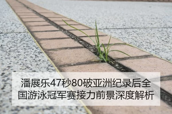 潘展乐47秒80破亚洲纪录后全国游泳冠军赛接力前景深度解析